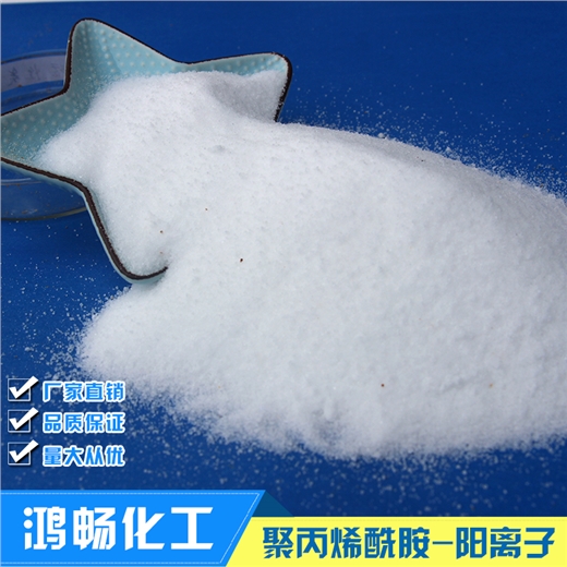 聚丙烯酰胺公司